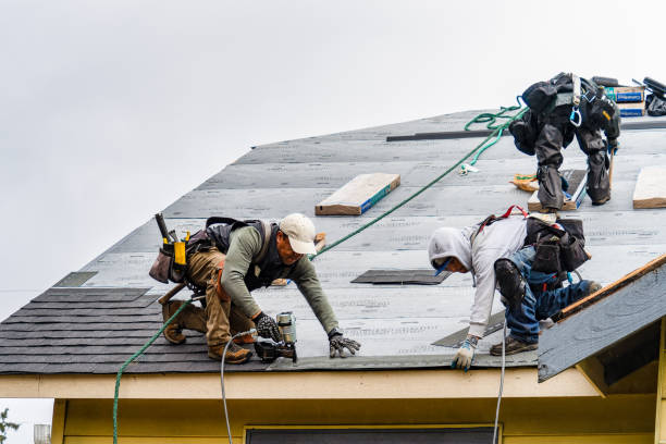 Professional Gutter Installation technician working in Blackville, SC